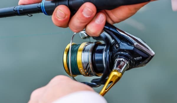 河北鱼竿价格揭秘:为何能卖到高价?与威海鱼竿的对比分析