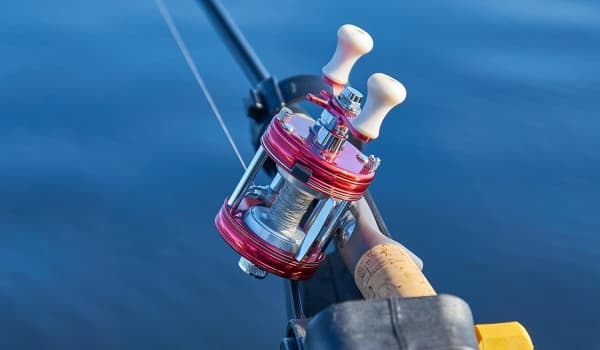 新手必看:钓竿硬调与软调如何选择?