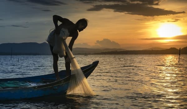 水库野钓必备:散炮钓法应用与实战操作指南