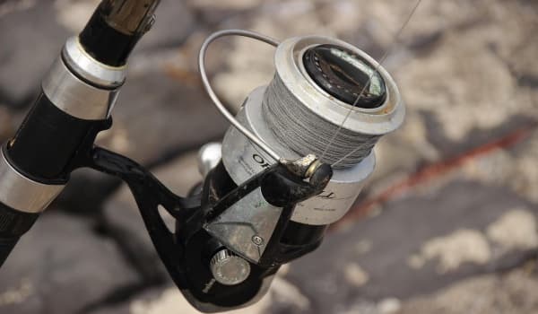 临沂钓鱼全攻略:精选钓场与实用技巧大揭秘!