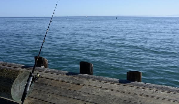 34种民间秘制钓鲫鱼饵料配方大公开,助你轻松爆护!