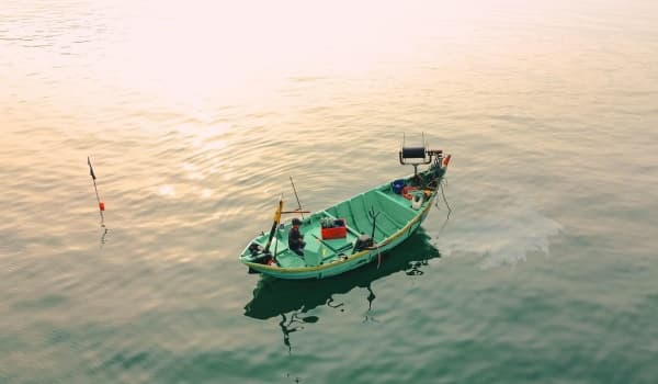 鱼竿调性全解析:37调、28调、19调究竟如何选择?