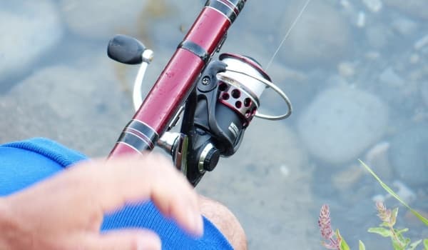 野钓鲫鱼:如何选择最合适的袖钩型号?