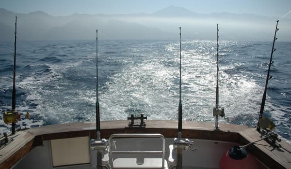 蚯蚓挂钩调漂秘籍:“剪2刀加铅”法,让垂钓更高效!