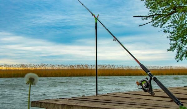 野钓高手秘籍:精准抓口,先看懂这3种关键漂相!