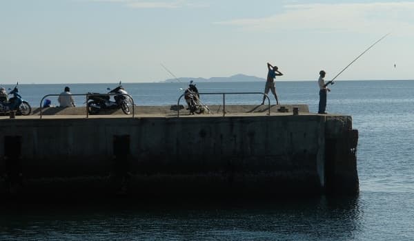 玉米散炮野钓秘籍:轻松连钓大鲫大鲤的实战攻略!