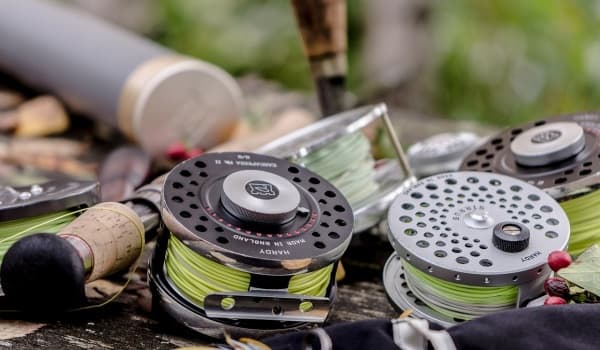 初春垂钓秘籍:螺鲤饵料如何使用效果最佳?