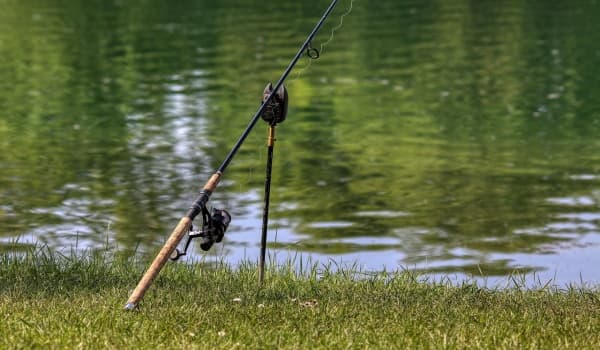 农村创业新风口:蚯蚓养殖,技术易学利润丰厚