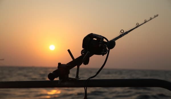 野钓鲫鱼时如何兼顾大鱼?线组搭配攻略揭秘!