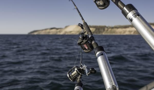2025年钓鱼竿品牌TOP10:高性价比与高端品质全解析