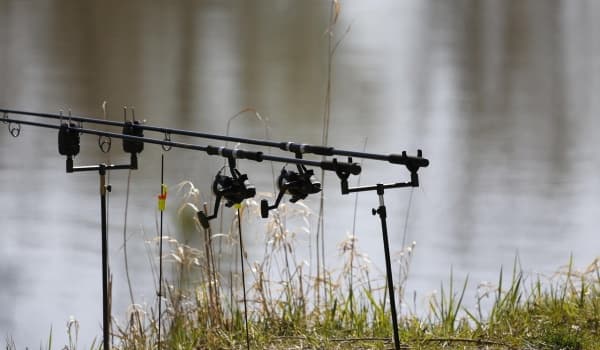 春季钓鲫鱼饵料大揭秘:“三选三注意”助你轻松爆护