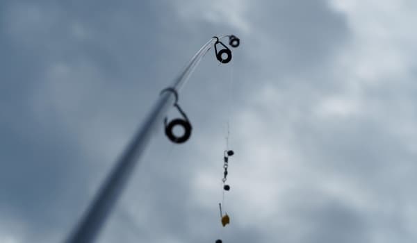 野河钓鱼秘籍:如何精准锁定黄金钓位?