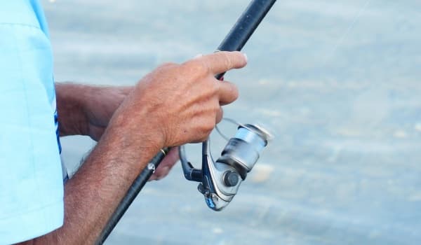 临沂钓鱼全攻略:精选钓场、技巧与最佳时机大揭秘!