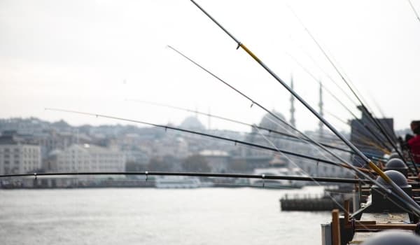 钓鱼竿哪个品牌质量最优?精选五大高性价比鱼竿品牌推荐