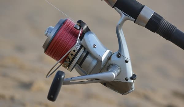 野河钓鱼秘籍:如何精准锁定黄金钓位?